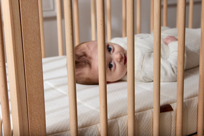 Ollie Baby Cot